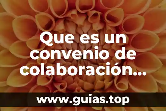 Que es un convenio de servicios profesionales 7 Que es un convenio de colaboración unam