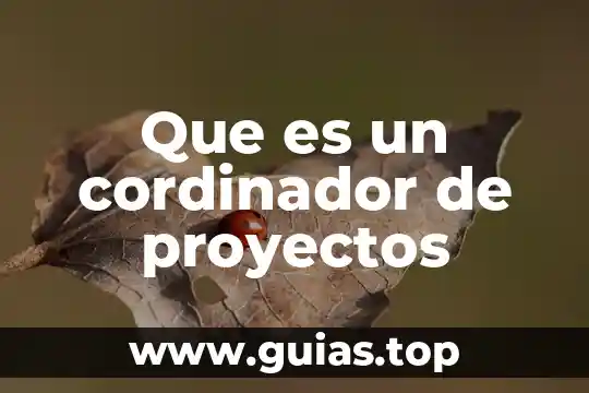 Que es la formulacion de proyectos libros 3 Que es un cordinador de proyectos