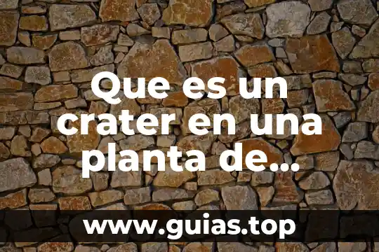 Qué es el mexicanismo en la pintura 3 Que es un crater en una planta de pintura
