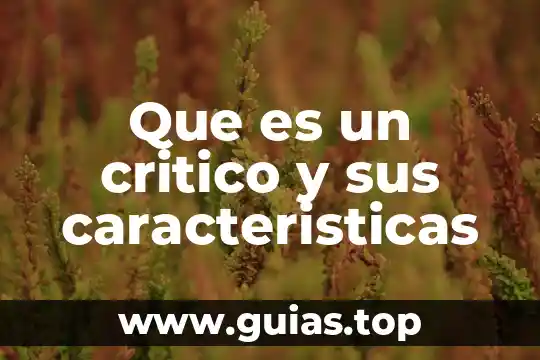Qué es un lector tipos y características 6 Que es un critico y sus caracteristicas