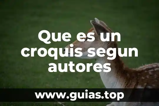 Concepto de que es edad segun autores 6 Que es un croquis segun autores
