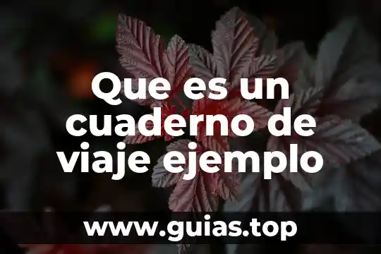Que es figura y ejemplo 7 Que es un cuaderno de viaje ejemplo