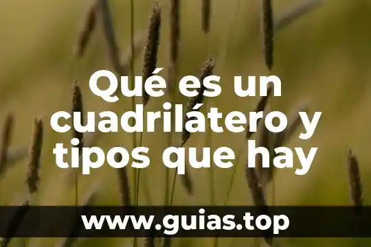 Que es manchas de sangre y de que tipo hay 4 Qué es un cuadrilátero y tipos que hay