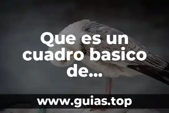 Medicamentos para la gripe en una persona que es diabética 5 Que es un cuadro basico de medicamentos