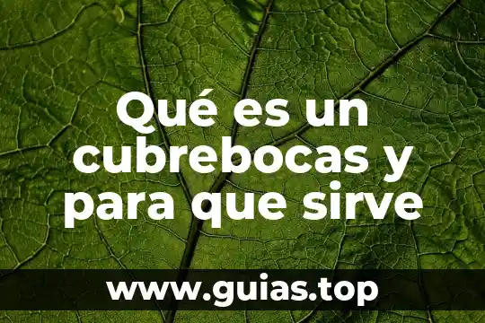 Qué es la búsqueda fonética para qué sirve 7 Qué es un cubrebocas y para que sirve