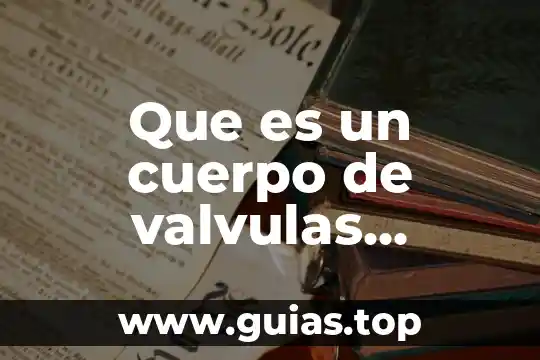 Qué es un mp3 en el cuerpo humano 7 Que es un cuerpo de valvulas neumatico