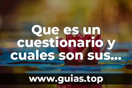 Qué es una ideología política y cuáles son 3 Que es un cuestionario y cuales son sus caracteristicas
