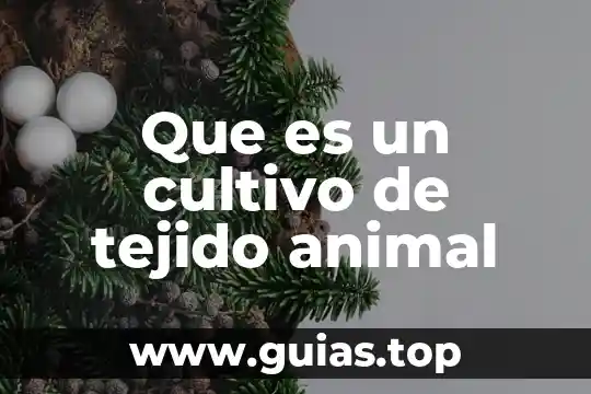 Tejido celular laxo que es 6 Que es un cultivo de tejido animal
