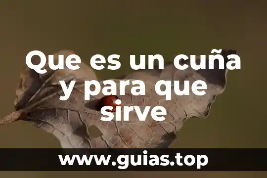 Planta cep que es 6 Que es un cuña y para que sirve