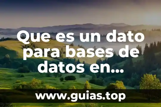 Que es una dato en access 8 Que es un dato para bases de datos en access