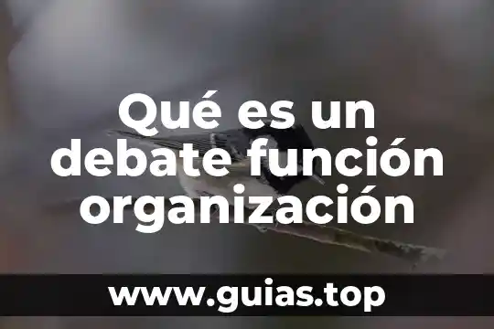 Qué es una organización económica definición 7 Qué es un debate función organización