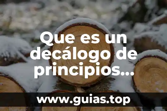 Qué es dilema éticos y profesional de ingeniero sistemas 8 Que es un decálogo de principios éticos