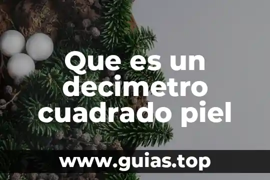 Qué es un decímetro cúbico definición 5 Que es un decimetro cuadrado piel