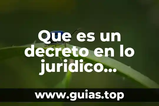 Que es decreto de libertad de comercio 1824 6 Que es un decreto en lo juridico mexicano resumen