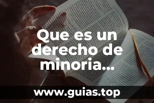 Que es un contrato mercantil concepto 3 Que es un derecho de minoria mercantil