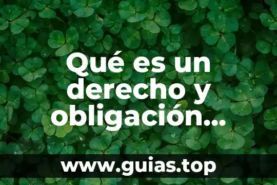Que es una obligacion concepto para niños 3 Qué es un derecho y obligación tener capacitación laboral