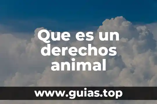 Qué es célula animal unam 6 Que es un derechos animal