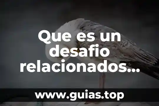 Que es actualizar en cascada los campos relacionados 3 Que es un desafio relacionados con la libertad