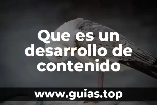 Que es el desarrollo en una investigacion 3 Que es un desarrollo de contenido