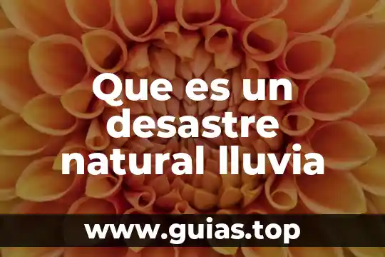 Qué es un número natural vtutor 3 Que es un desastre natural lluvia