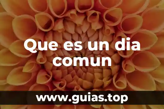 Que es la vía intrínseca extrinsecas y comun 3 Que es un dia comun