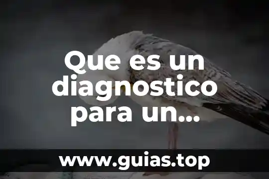 Qué es un número mixto 8 Que es un diagnostico para un proyecto comunitario
