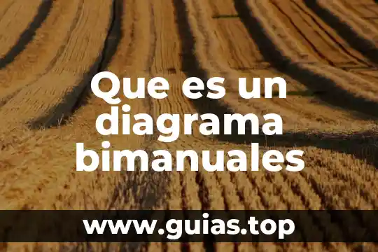 Diagrama de flujo lay-out que es 5 Que es un diagrama bimanuales