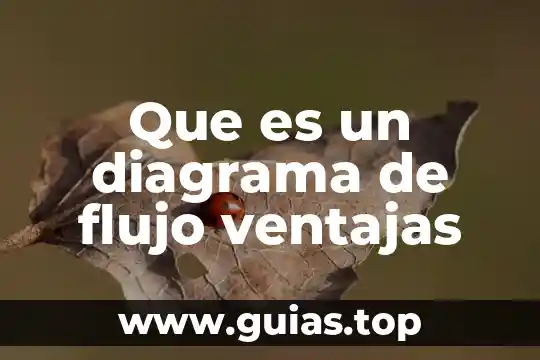 Que es el flujo del agua 6 Que es un diagrama de flujo ventajas