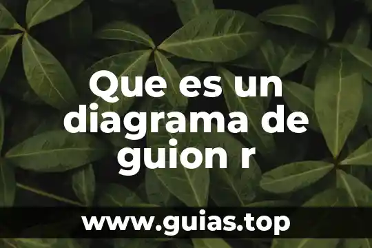Que es un diagrama de guion r