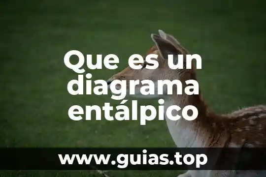 Diagrama de flujo lay-out que es 7 Que es un diagrama entálpico