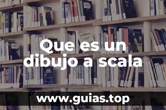 Que es dibujo y tipos de dibujo 7 Que es un dibujo a scala
