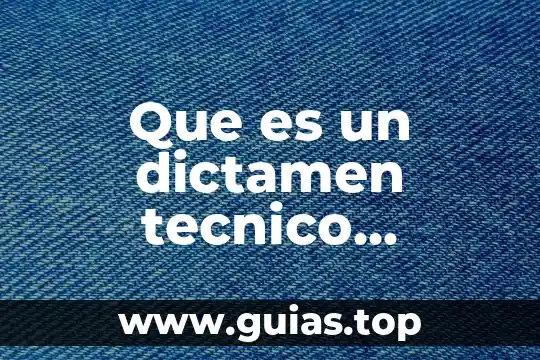 Que es pago tt o ti 7 Que es un dictamen tecnico ambiental