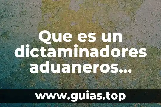 Que es el concepto de irreoactividad 7 Que es un dictaminadores aduaneros concepto