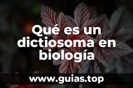 Tipos de distribución uniforme para qué es biología 3 Qué es un dictiosoma en biología