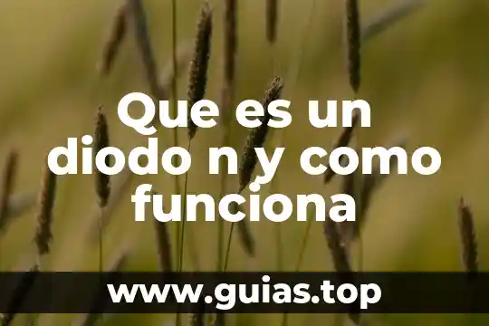 Qué es una cookie y cómo funciona 8 Que es un diodo n y como funciona