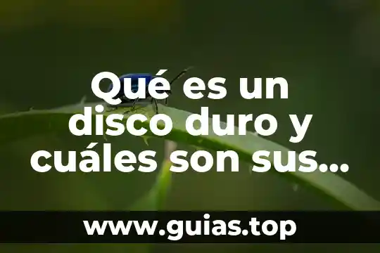Que es el climaterio y cuales son sus sintomas 5 Qué es un disco duro y cuáles son sus tipos