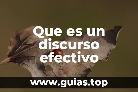 Que es una proyeccion de flujo de efectivo 4 Que es un discurso efectivo