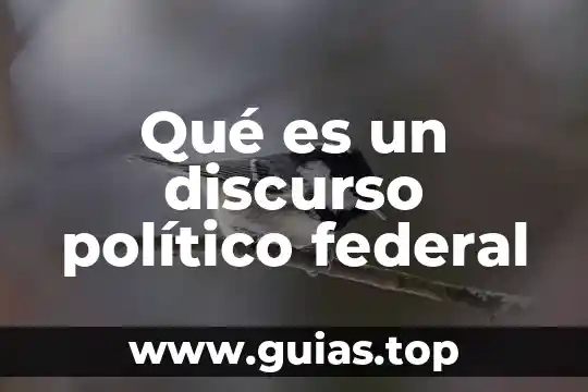 Que es un auge politico 5 Qué es un discurso político federal