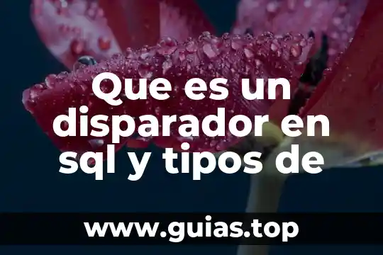Que es un articulo en una oracion y tipos 8 Que es un disparador en sql y tipos de
