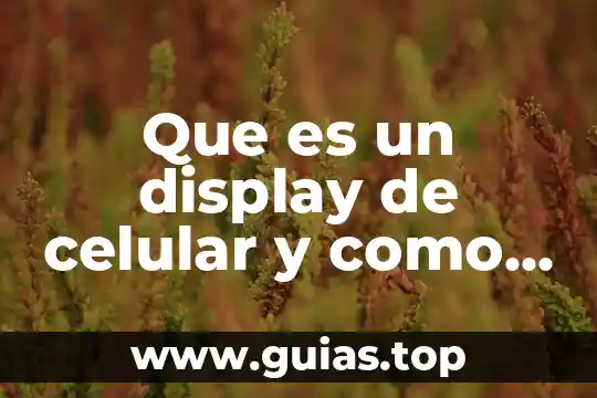 Que es global version en un celular 7 Que es un display de celular y como repararlo