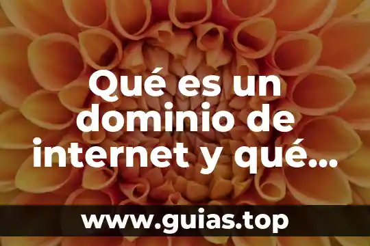 Diagrama de flujo que es 7 Qué es un dominio de internet y qué tipos existen