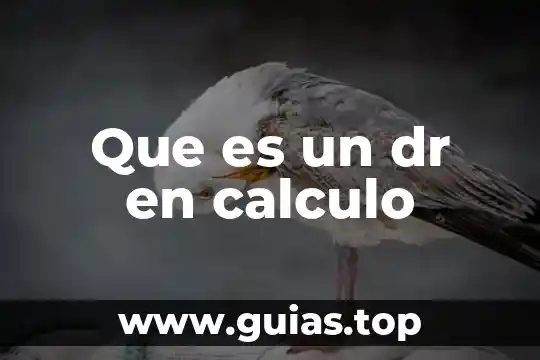 Que es calculo intuitivamente 5 Que es un dr en calculo