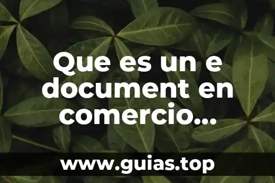 Que es planta exterior que hace 3 Que es un e document en comercio exterior