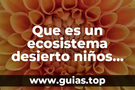 Qué es una erupción volcánica definición para niños 4 Que es un ecosistema desierto niños de kinder