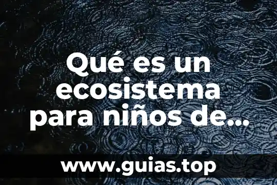 Qué es una ecuación de segundo grado en matemáticas 5 Qué es un ecosistema para niños de segundo grado