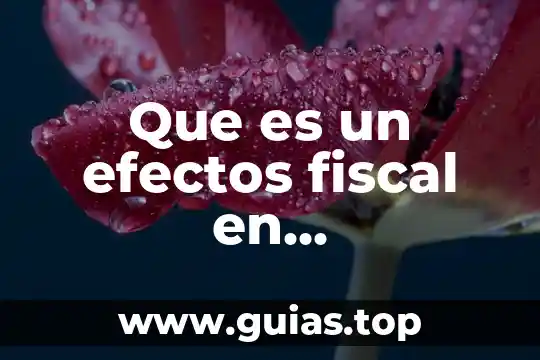 Que es una contribucion segun el codigo fiscal 8 Que es un efectos fiscal en contabilidad