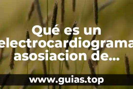 Que es la libertad de gravamen en mexico 5 Qué es un electrocardiograma asosiacion de cardiologia de mexico