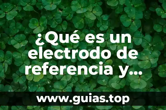 Que es democracia y cuales son los tipos de democracia 5 ¿Qué es un electrodo de referencia y cuáles se usan?