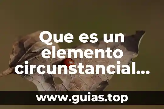 Hc elemento que es 6 Que es un elemento circunstancial tipos