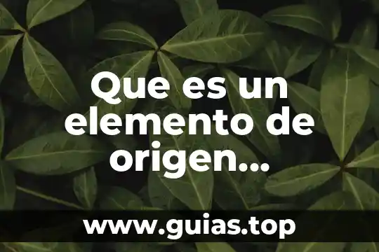 Que es un elemento circunstancial tipos 6 Que es un elemento de origen sociocultural